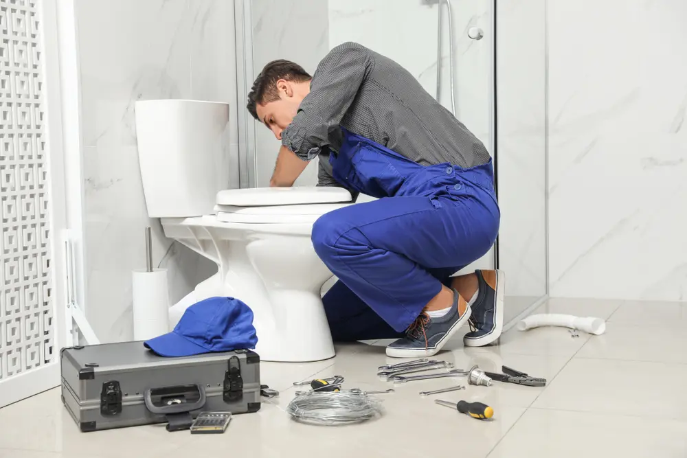 Toilet Installation in Schriever
